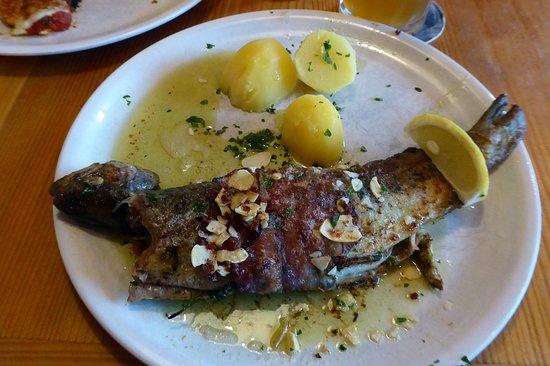 Forellenstuberl